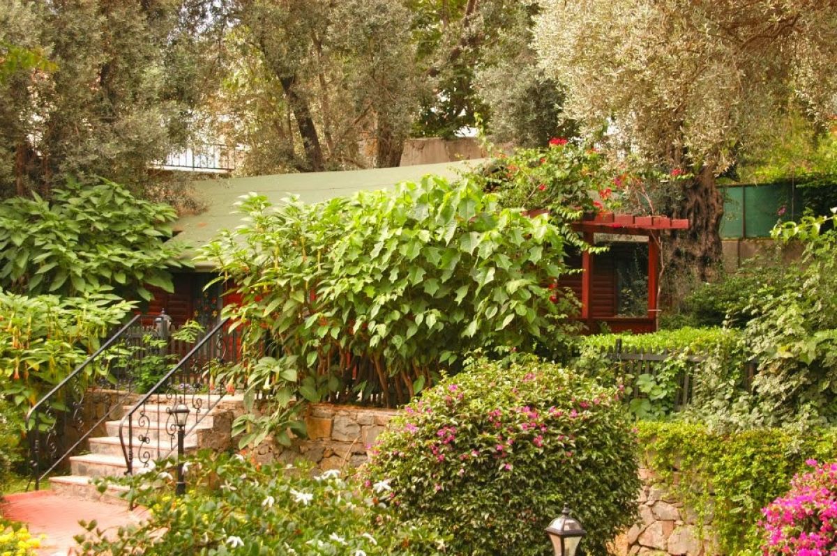 imagini hotel CLUB SUN CITY OLUDENIZ